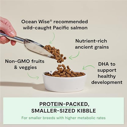 Open Farm Ancient Grains Dry Puppy Food, Wild Caught Salmon Kibble, 4lb Bag