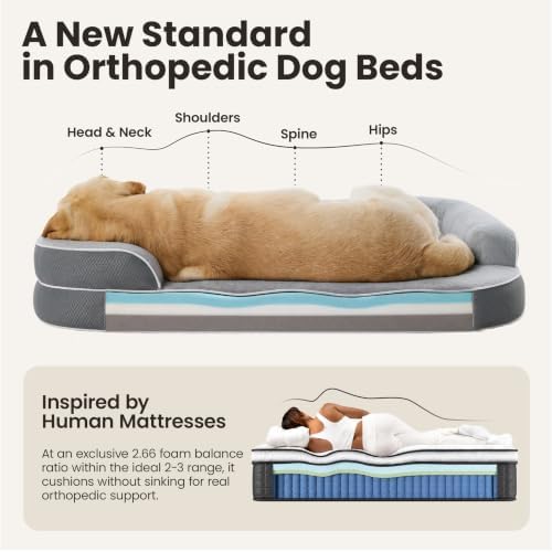 LE SURE RealOrtho™ XL 3-Layer Orthopedic Dog Beds Large Sized Dog,42" Grey
