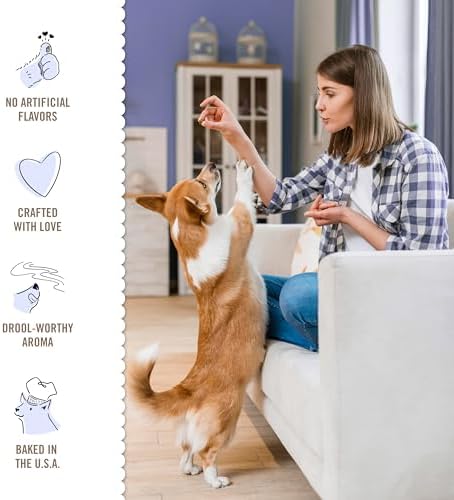 Three Dog Bakery Blueberry Pancake Bites,Treats with Real Blueberries & Vanilla,Mess-Free Snacks & Training Cookies for Dogs-& Puppies,Human-Inspired,(Pack of 2)