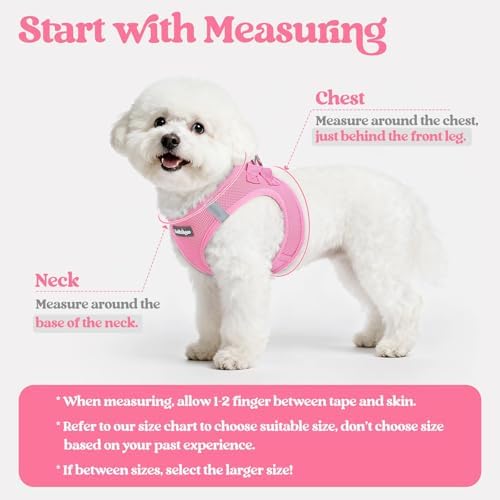rabbitgoo Dog Harness Medium Sized and Leash Set, Step-in Puppy Pet Vest