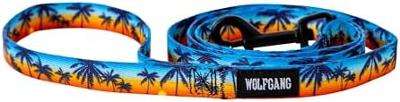 SunsetPalms Dog Leash 5/8" x4'