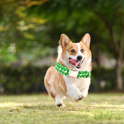 Summer Dog Collar, Animal Print Durable Metal Collar Cute Green Boy Dog Collars Adjustable Pet Collar for Small Medium Large Dogs