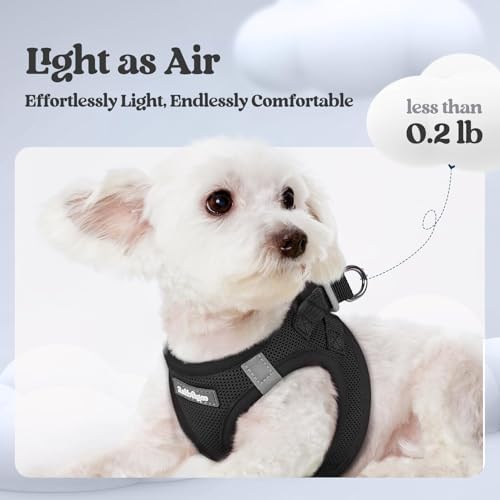 rabbitgoo Dog Harness Small Sized and Leash Set, Step-in Puppy Pet Vest