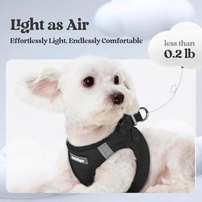 rabbitgoo Dog Harness Small Sized and Leash Set, Step-in Puppy Pet Vest