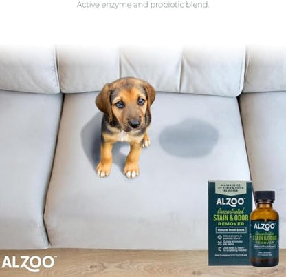 ALZOO Concentrated Pet Stain & Odor Remover Refill, Makes Up to 96 Fl Oz Cleaning Solution, Enzyme & Probiotic Formula, Refill Bottles for Dogs & Cats, 1.1 Fl Oz (Pack of 3)