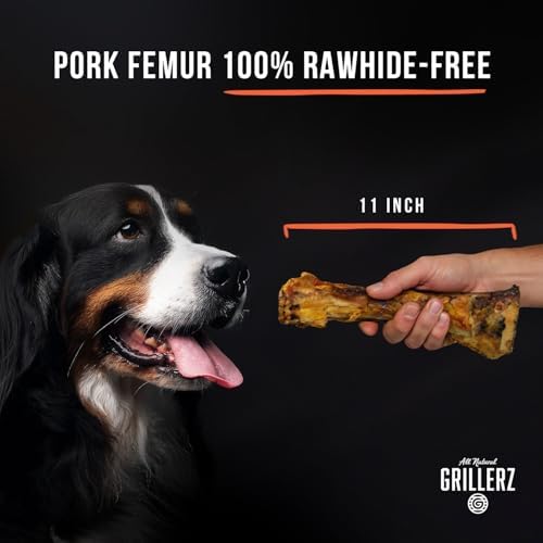 Grillerz Scott Pet Beef Mammoth Bone, 1 Count, Beef Bones for Dogs, Rawhide Free, Dog Chew for Healthy Teeth & Gums, High Protein, Easy to Digest, Long Lasting, Natural Treats for All Breeds