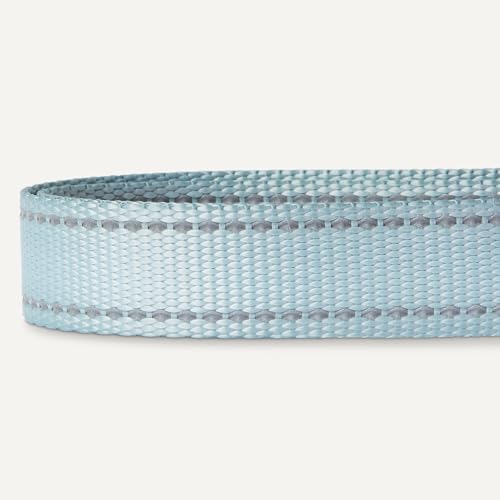 Amazon Basics Reflective & Adjustable Dog Collar, Woven Polyester, Durable, Fast-Drying, High-Viz Reflective Threads, Quick-Release Buckle, Metal D-Ring, Size M, Blue