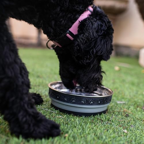 Loving Pets Corsa Dog Bowls- Stainless Steel Dog & Cat Bowls - Spill Proof Dog Food Bowl, Cat Bowl, Puppy Essentials & Pet Supplies Great for Home & Travel (Large 35-65 lbs, Stealth Black)