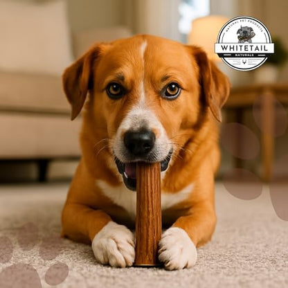 WhiteTail Naturals Whole Deer Antler Dog Chew - Medium 5-6" - 1Ct.
