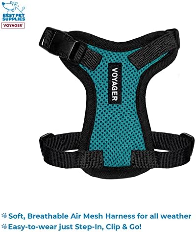 Best Pet Supplies Voyager Step-in Lock Pet Harness w Reflective Pet Leash Combo Set with Neoprene Handle 5ft - Supports Small, Medium and Large Breed Puppies/Cats - Turquoise/Black Trim Set, XXS