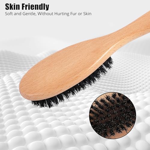 Boar Bristle Cat Brush with Wooden Handle, Soft and Gentle, Reduce Shedding, Make Coat Soft, Smooth and Shinny, Daily Grooming Tool for Short Haired Cats, Kitten