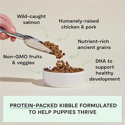 Open Farm Ancient Grains Dry Puppy Food - Chicken & Salmon Kibble - 4 lb