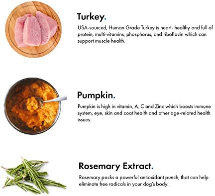 Turkey & Pumpkin 12 oz. Dog Jerky Treat | Human Grade | High Protein