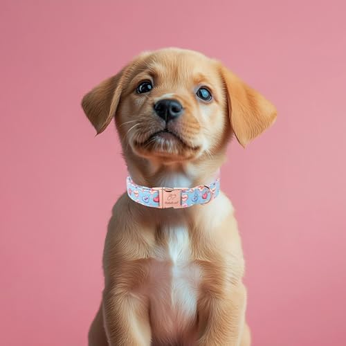 Valentines Dog Collar for Medium Dogs - Cute Blue Heart Pattern Puppy Collar Sweet Valentine Adjustable Heavy Duty Pet Collar with Metal Buckle M