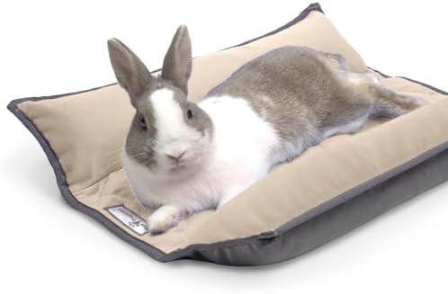 Paw Inspired Snuggle Bunny Bolster Bed, Gray/Beige, 17x17 Inch