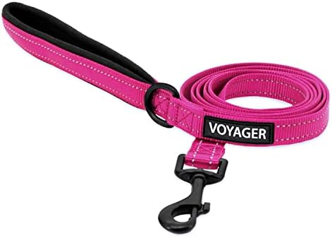 Best Pet Supplies Voyager Nylon Dog Leash - Fuchsia, Large
