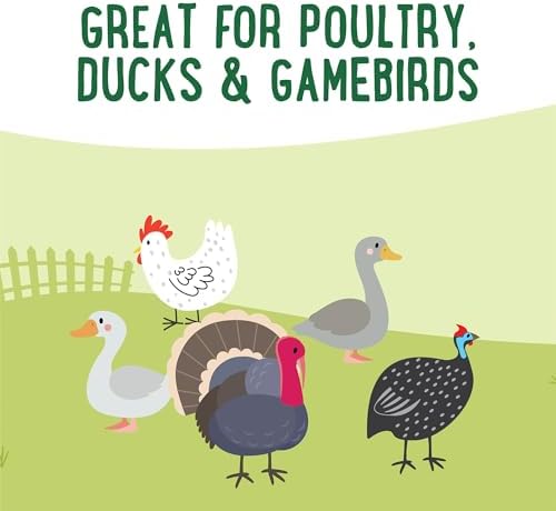 Manna Pro Farmhouse Favorites Fly & Fruit Feather Support Poultry Treat, Duck Treat, Gamebirds, Scratch, Insect & Fruit Blend with Zinc, Biotin & Omega-3s, 7 lb