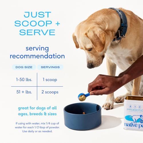 Native Pet Probiotics for Dogs – Dog Probiotic Powder for Gut & Digestive Health, Vet-Formulated 6B CFUs Dog-Specific Probiotic Strains, Supports Stool Quality & Diet Transitions – 60 Scoops