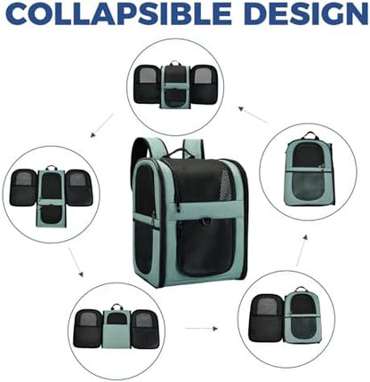 Apollo Walker Cat Carrier Backpack for Small Dogs and Cats Up to 18 lb