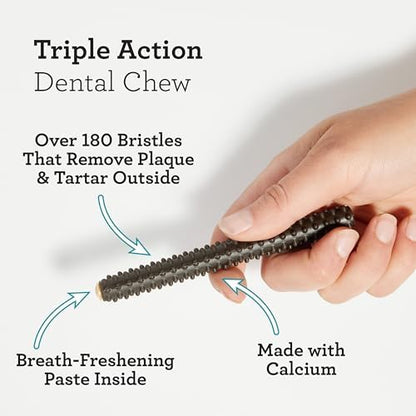 DreamBone Triple Action Dental Sticks Charcoal, 10 Count, Rawhide-Free Chews for Small and Medium Sized Dogs Freshens Breath (Pack of 3)