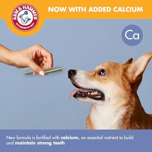 Arm & Hammer Smoothies Dental Chews for Dogs, Mint Flavor, Medium, 57 Count