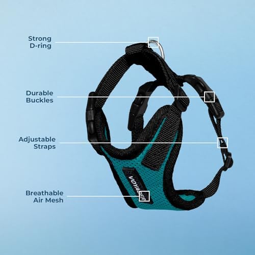 Voyager Step-in Lock Dog Harness - Turquoise/Black Trim, Large