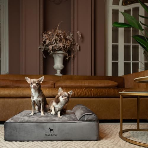 NOAH & PAW Dog Bed, 28x23x7.5 Inch, Orthopedic Dog Beds for Medium Size Pets, Eggshell Memory Foam Infused with Cooling Gel, Water Resistant, Machine Washable, Includes Inner Cover (Velvet Collection)