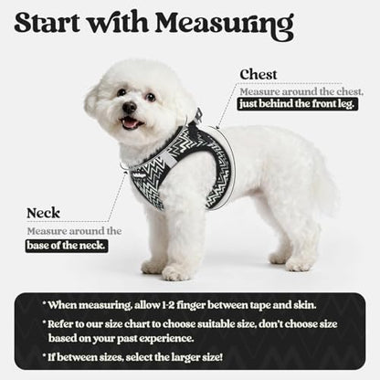 rabbitgoo Dog Harness Medium Sized and Leash Set, Step-in Puppy Pet Vest