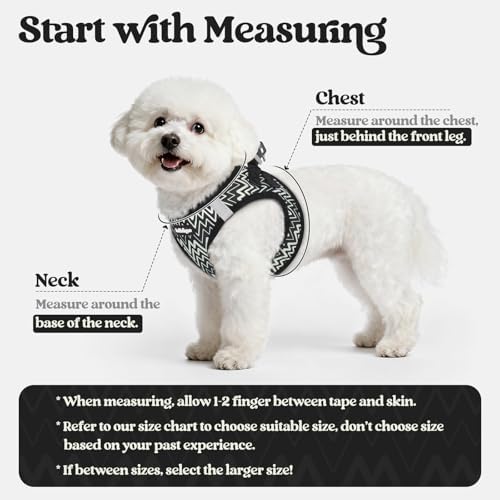 rabbitgoo Dog Harness Medium Sized and Leash Set, Step-in Puppy Pet Vest
