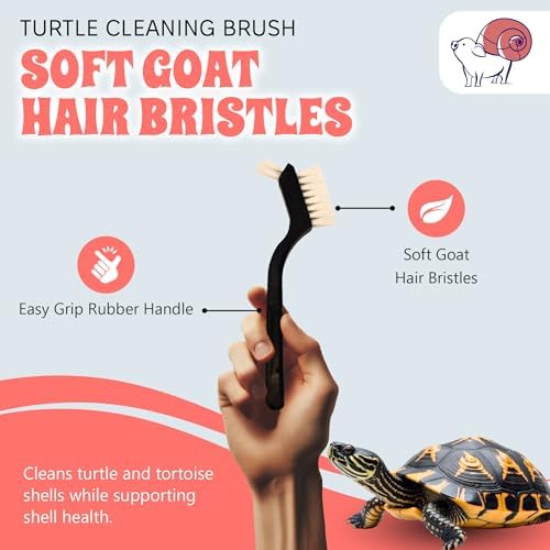Turtle Cleaning Brush Remove Aquatic Mud, Dirt, & Contaminants from Tortoises Shells & Promoting Shell Health - Goat Hair Bristle Brush with Grip Rubber Handle - Black by Snout and Shell