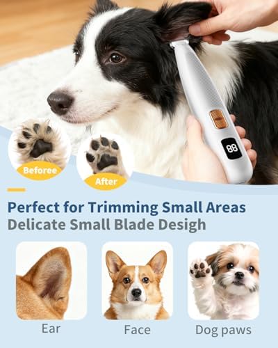 iBTC Dog Clippers and Paw Trimmer Kit 2 in 1 Low Noise Cordless Dog Clippers for Grooming Pet Hair Trimmers for Small and Large Dogs Cats Animals(Grey and White Set)