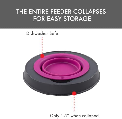 Dexas Pets Single Elevated Pet Feeder/Pet Bowl, 4 Cup Capacity, Fuchsia, Large/4 Cup Capacity
