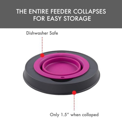 Dexas Pets Single Elevated Pet Feeder/Pet Bowl, 4 Cup Capacity, Fuchsia, Large/4 Cup Capacity