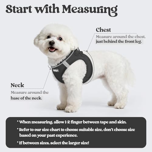 rabbitgoo Dog Harness Small Sized and Leash Set, Step-in Puppy Pet Vest