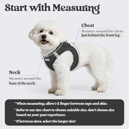 rabbitgoo Dog Harness Small Sized and Leash Set, Step-in Puppy Pet Vest