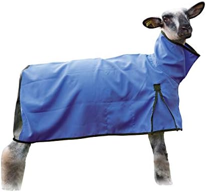 Weaver Livestock Sheep Blanket, Mesh Butt, Extra-Small, Blue
