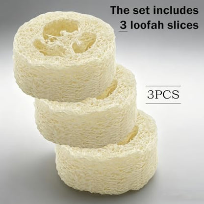 Cockroach Water Basin & 3 Loofah Set, Dubia Roaches Live Habitat Reptile Container Supplies for Terrariums & Enclosures, Comfortable Habitat for Roaches Live, Isopods, Springtails, Crickets