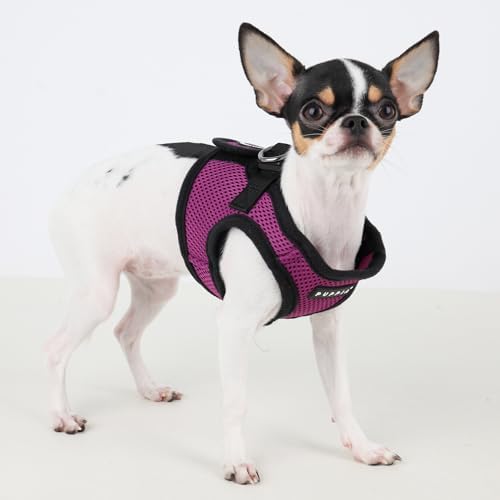 PUPPIA International Puppia Harness Soft B Vest Purple Small
