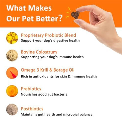Dog Allergy Relief Chews- Allergy & Immune Probiotics, Support Seasonal Allergies, Gut & Digestive Health, Dog Itching Skin,Paw & Ears Relief- Bacon Flavor -240 Count (2 Pack/Trust it)