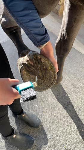 Horse Hoof Pick with Brush - Non-Slip Ergonomic Handle, Heavy-Duty Steel Pick & Stiff Bristles - Removes Dirt, Mud & Rocks - Horse Grooming Tool for Daily Hoof Care (Pink)