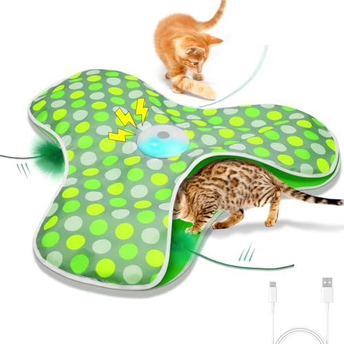 Interactive Cat Toys,Moving Concealed Feathers Toy for Indoor Cats