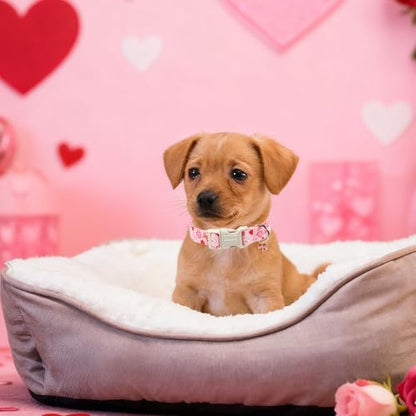 DOGWONG Valentine's Day Dog Collar-Cute Pink Bow Heart Pattern Dog Collars, Adjustable Valentine Heart Pet Collars Puppy Collar with Quick Release Buckle for Girl&Boy Dogs,M