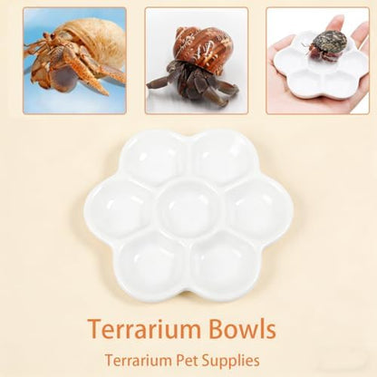 2 Pack Terrarium Bowls, Hermit Crab Water Dishes & Water Bowl