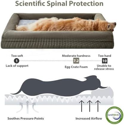 WNPETHOME XXXL Big Large Orthopedic for Senior Dog Bed Comfy Sleeping