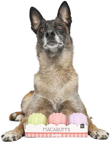 BarkBox Macaruffs Dog Toy - 3-Part - Toy for Medium to Large Dogs