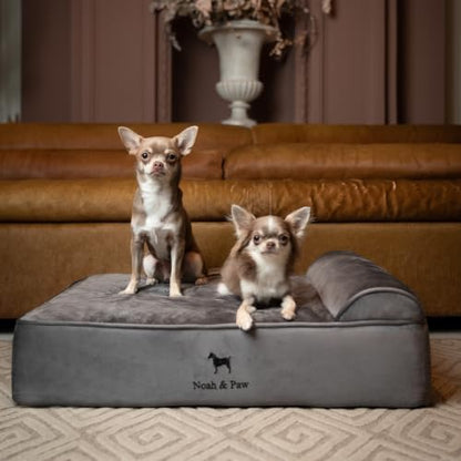 NOAH & PAW Dog Bed, 28x23x7.5 Inch, Orthopedic Dog Beds for Medium Size Pets, Eggshell Memory Foam Infused with Cooling Gel, Water Resistant, Machine Washable, Includes Inner Cover (Velvet Collection)