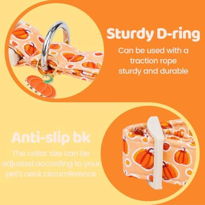 Fall Cute Orange Pumpkin Dog Collar Adjustable for X-Small Dog