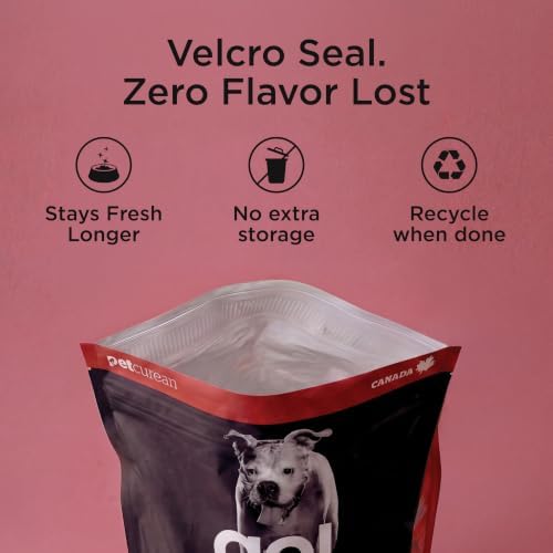 Go! Solutions Skin + Coat Care Beef Dry Dog Food, 22 lb