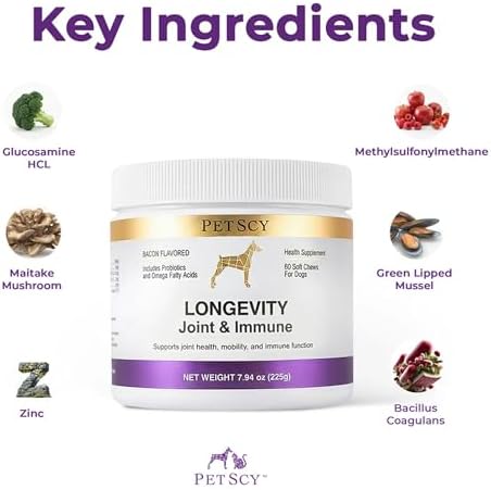 Petscy Longevity Hip & Joint + Immune Support Chews for Dogs - 3.75g Chew - High Dose Glucosamine, MSM, Chondroitin, Green Lipped Mussel, Omega 3, Probiotics - 60 Chews (Small & Medium Dogs)
