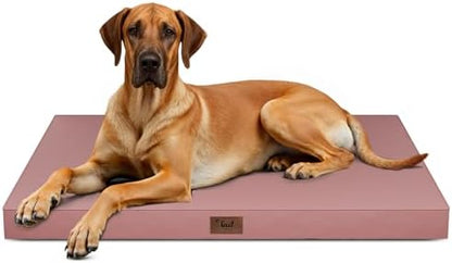 Jumbo Waterproof Orthopedic Dog Bed for Extra Large Dogs